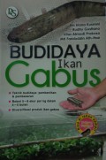 Budidaya Ikan Gabus