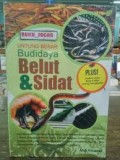 Untung Besar Budidaya Belut Dan Sidat
